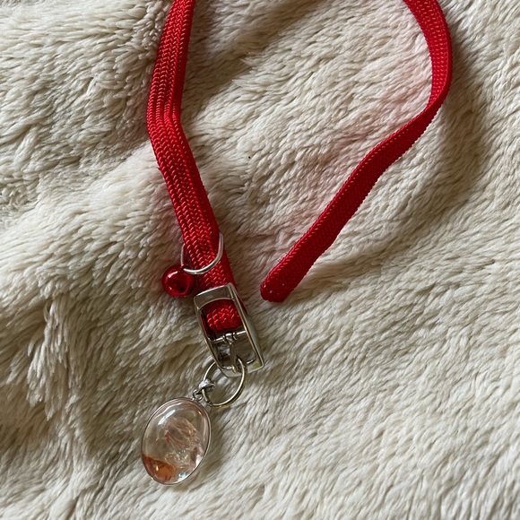 Cat pet collar with clear pendant 13” chain. Beautiful Pendant can be detached.
